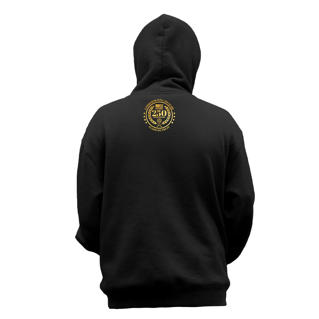 Future Looks Bright USA 250th Black and Gold Hoodie - Image 3