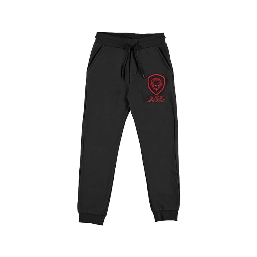Kid's Future Looks Bright Red Lion Premium Jogger Pants - Image 3